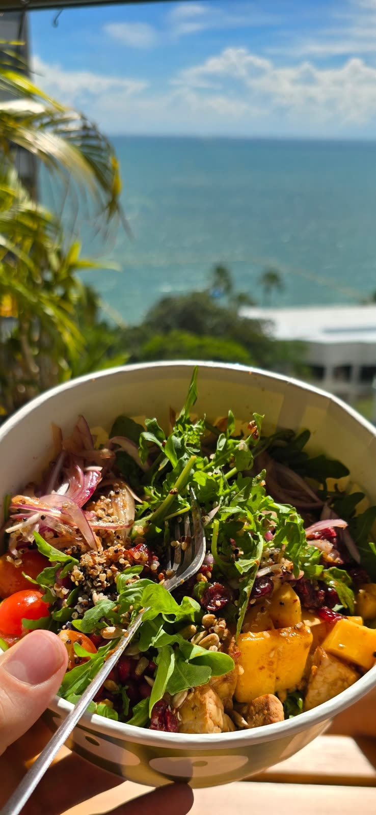 salad bowl held with a fork, ocean and palm tree view