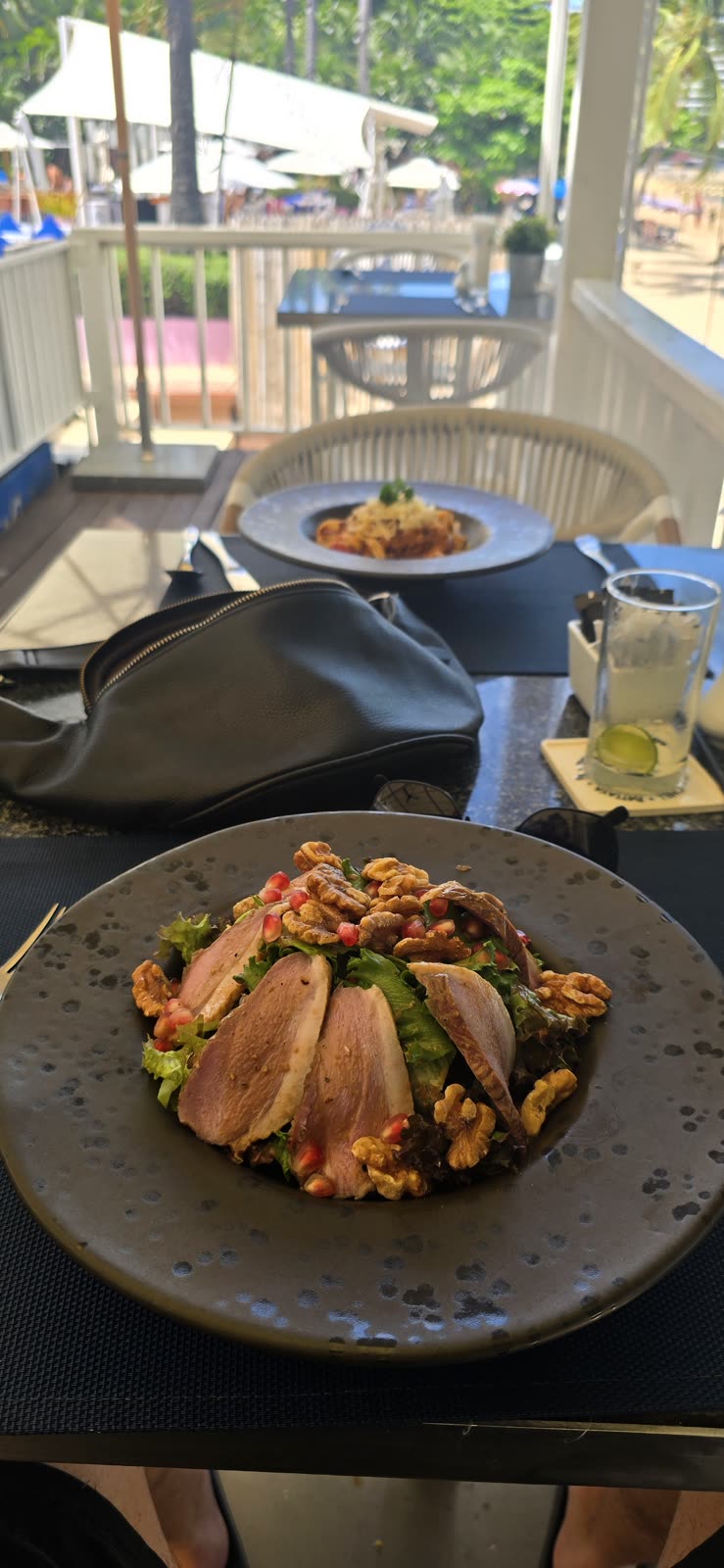 plate of duck salad with pomegranate and walnuts, ocean view restaurant table